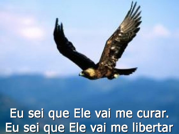 Hoje eu vou tocar nas vestes de Jesus - página 3