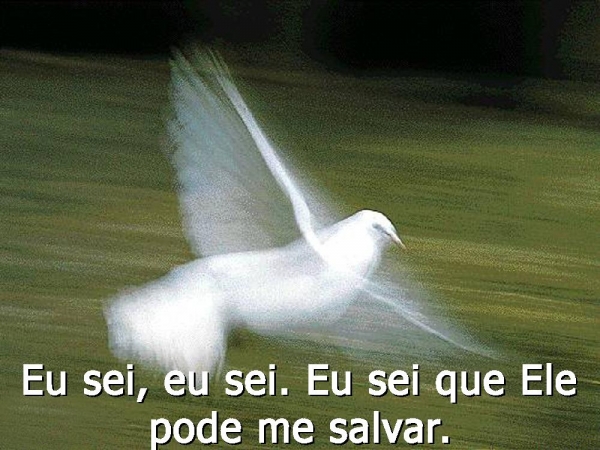 Hoje eu vou tocar nas vestes de Jesus - página 4