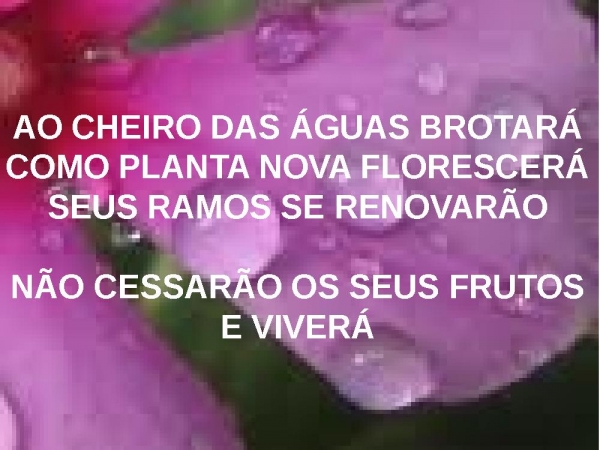 Ao cheiro das Águas - página 3