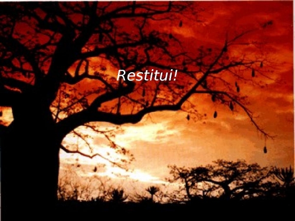05-RESTITUI - página 11
