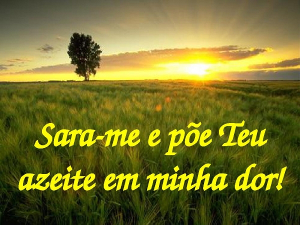 05-RESTITUI - página 17