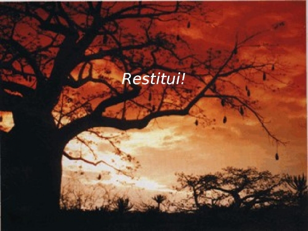 05-RESTITUI - página 20