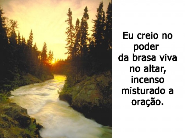 Eu Creio no poder dos joelhos que se dobram - página 12