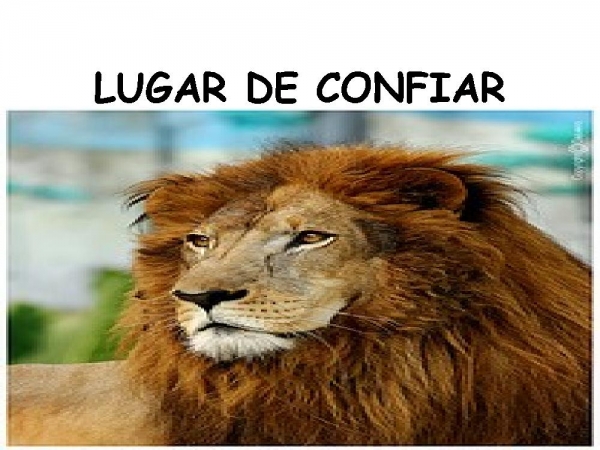 NÃO POSSO MAIS VIVER - página 27
