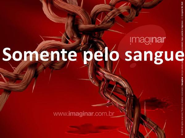 Nada além do sangue - Fernandinho - página 12