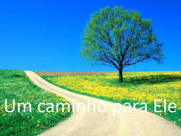 Nada além do sangue - Fernandinho - página 22