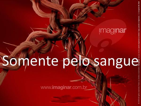 Nada além do sangue - Fernandinho - página 24