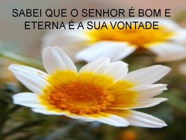 CELEBRAI COM JÚBILO AO SENHOR - página 5