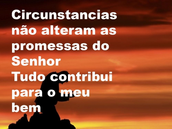 nada-temerei-58b8db0d94bb8.ppt - página 3