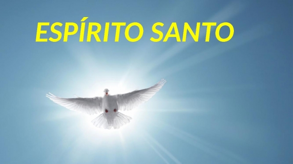 ESPÍRITO SANTO - FERNANDA BRUM
