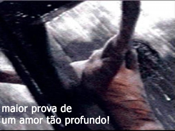 Eu sou grato, por tudo que tenho - página 16