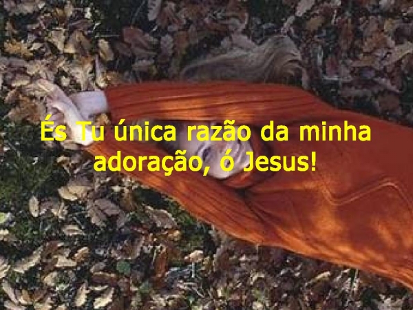 Eu Te louvarei, Te glorificarei - página 3