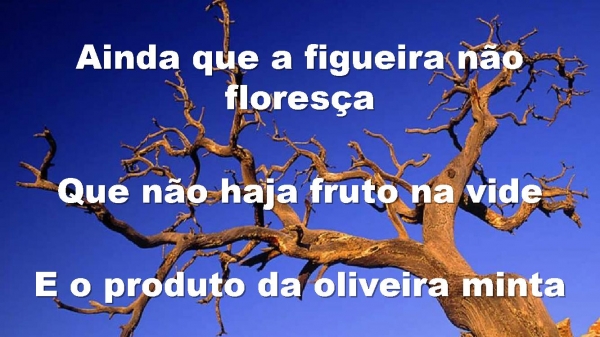 Todavia Me Alegrarei - página 13