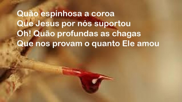 alvo mais que a neve.pptx - página 4