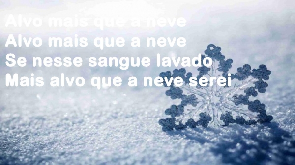 alvo mais que a neve.pptx - página 9