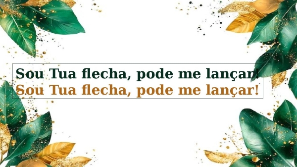 Como Flecha-Samuel Dias - página 14