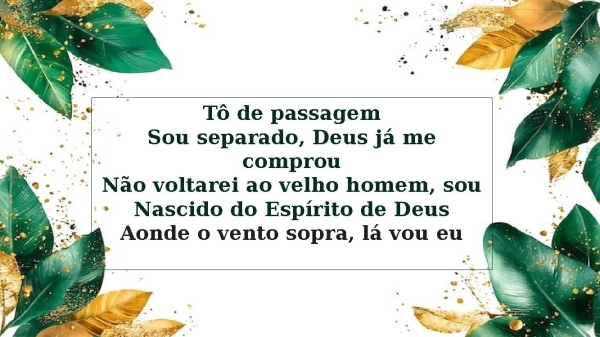 Como Flecha-Samuel Dias - página 6