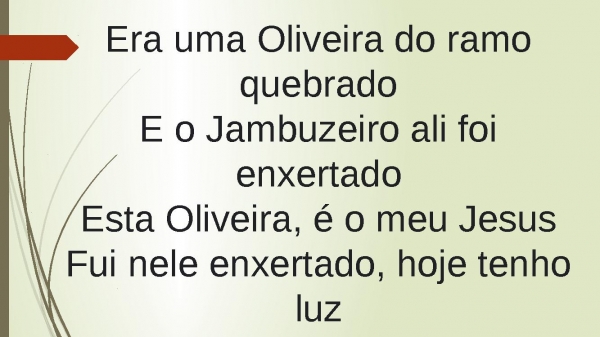 Oliveira Verdadeira - página 2