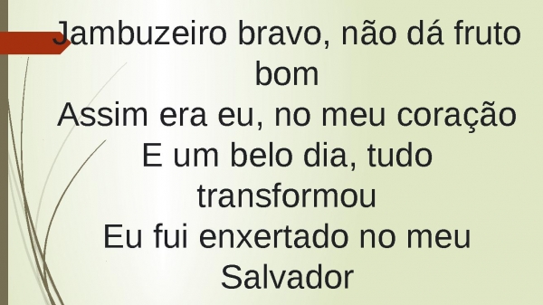 Oliveira Verdadeira - página 4