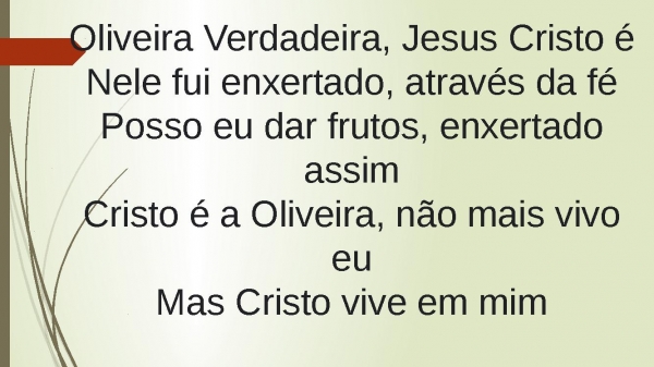 Oliveira Verdadeira - página 5