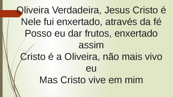 Oliveira Verdadeira - página 7