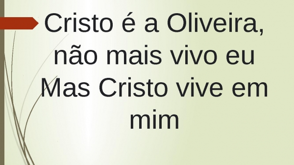 Oliveira Verdadeira - página 8