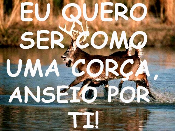 TOTALMENTE TEU - página 6