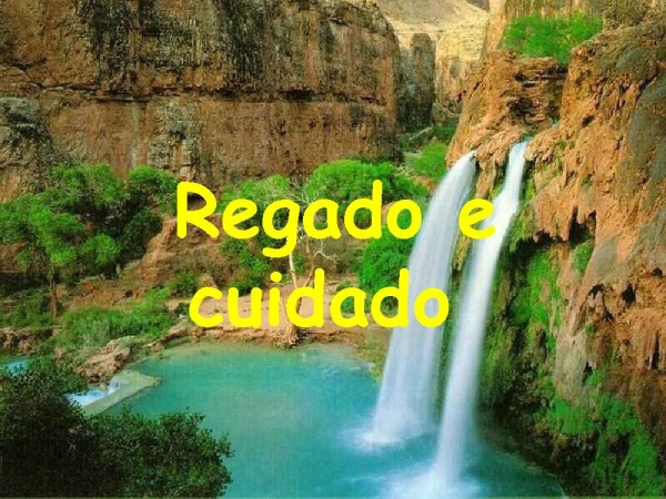 MANANCIAL - página 12