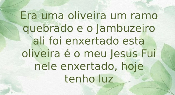 oliveira verdadeira - página 2