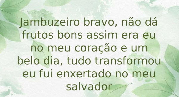 oliveira verdadeira - página 4