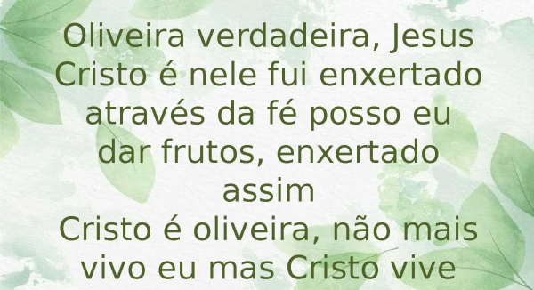 oliveira verdadeira - página 5