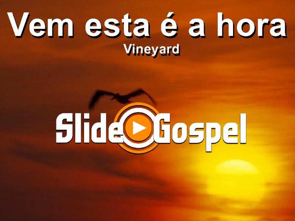 Vem, Está é a Hora - Vineyard - página 1