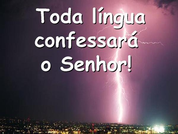 Vem, Está é a Hora - Vineyard - página 20