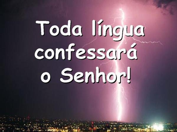Vem, Está é a Hora - Vineyard - página 24