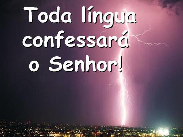 Vem, Está é a Hora - Vineyard - página 7