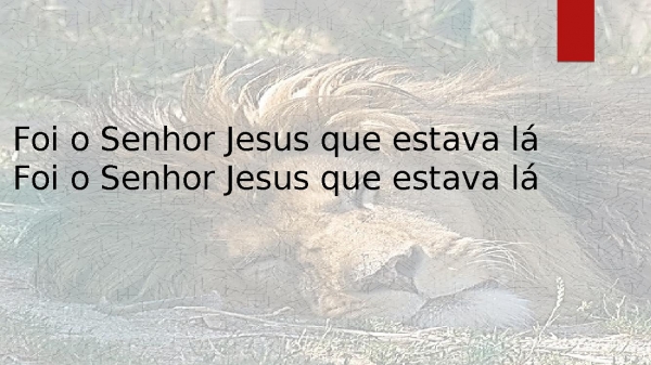 Daniel - Mara Lima.pptx - página 14