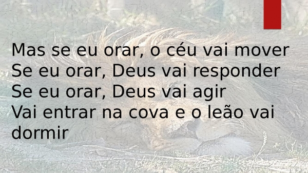 Daniel - Mara Lima.pptx - página 5