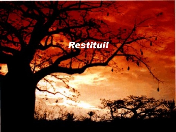 RESTITUI - página 11