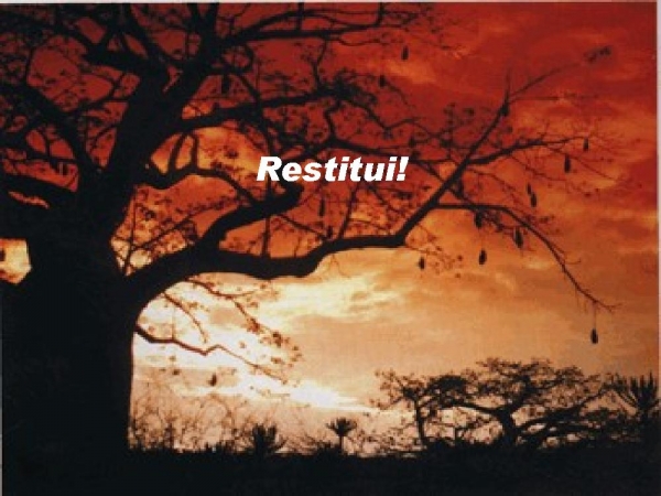 RESTITUI - página 20