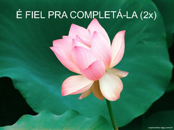 DEUS COMEÇOU UMA OBRA EM MIM - página 2