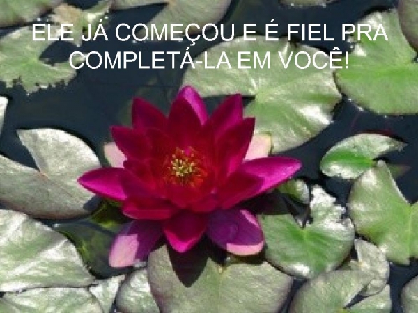 DEUS COMEÇOU UMA OBRA EM MIM - página 6