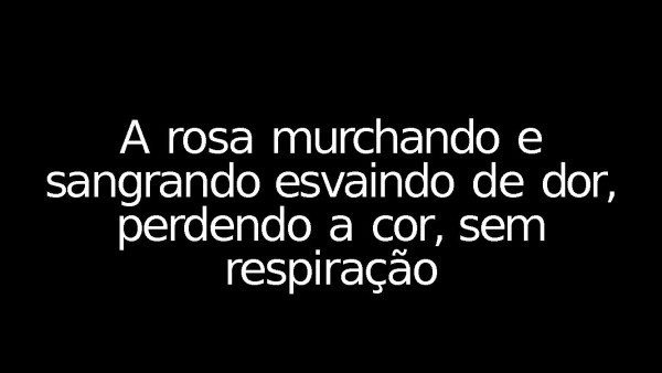 Rosa Vermelha - página 4