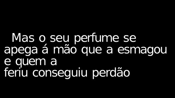 Rosa Vermelha - página 5