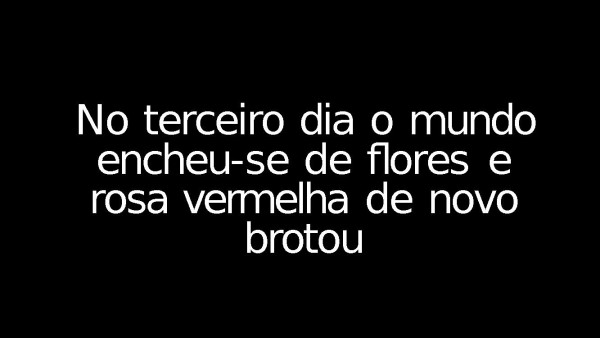 Rosa Vermelha - página 7