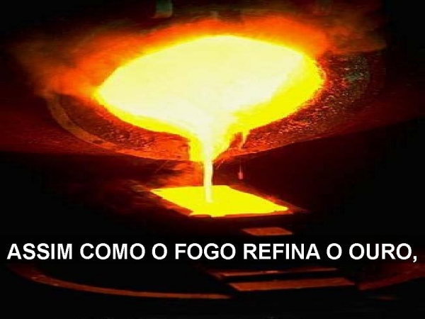 A Tua palavra escondi - página 13