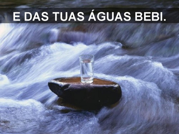A Tua palavra escondi - página 7