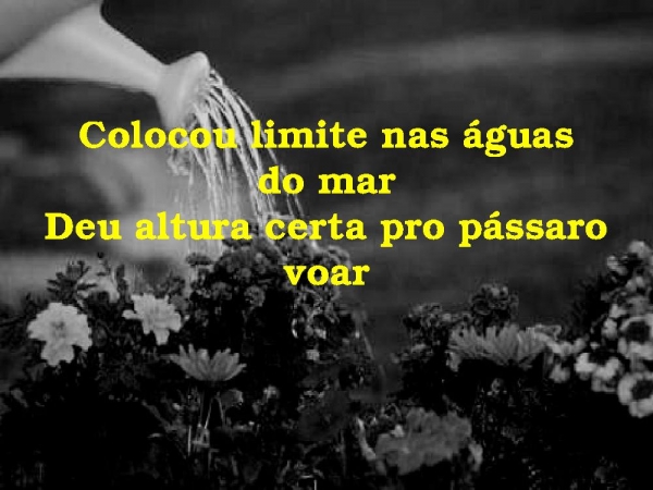 DEUS DE DETALHES - página 7