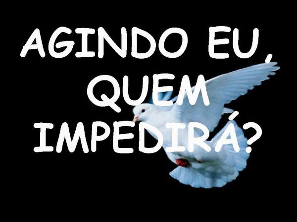 NÃO TEMAS ...AGINDO EU - página 2
