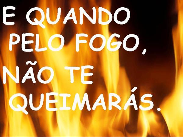 NÃO TEMAS ...AGINDO EU - página 4