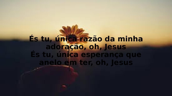 Eu te louvarei - página 2